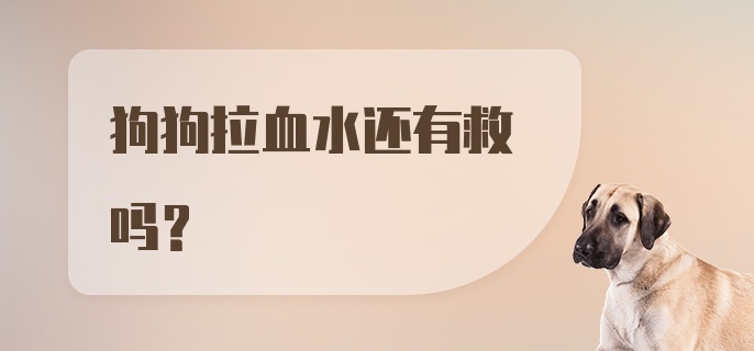 狗狗拉血水还有救吗？