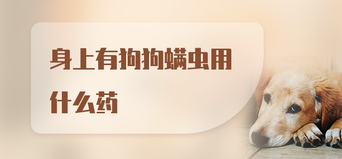 身上有狗狗螨虫用什么药