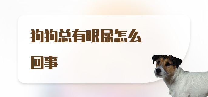 狗狗总有眼屎怎么回事