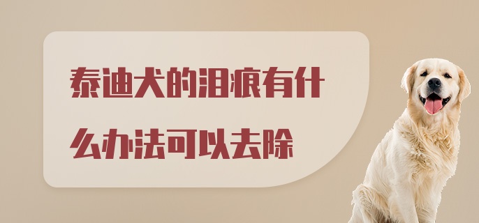 泰迪犬的泪痕有什么办法可以去除