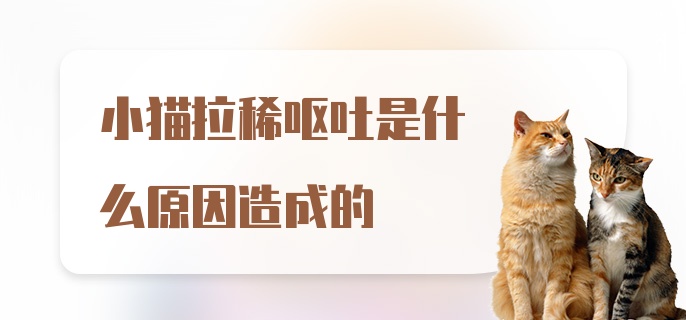 小猫拉稀呕吐是什么原因造成的