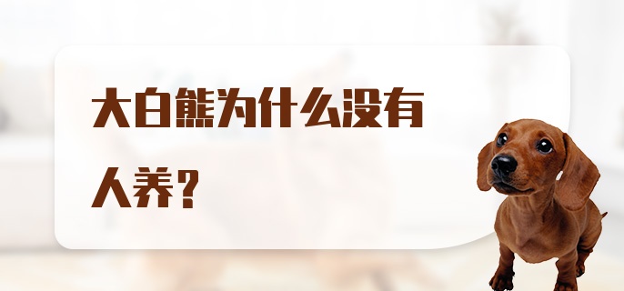 大白熊为什么没有人养?