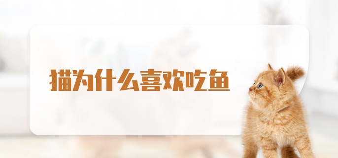 猫为什么喜欢吃鱼