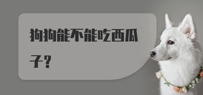 狗狗能不能吃西瓜子？