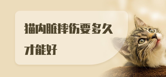 猫内脏摔伤要多久才能好