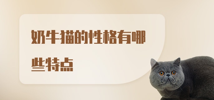 奶牛猫的性格有哪些特点