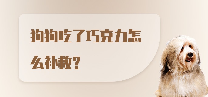 狗狗吃了巧克力怎么补救？