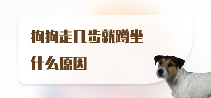 狗狗走几步就蹲坐什么原因