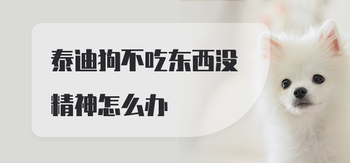 泰迪狗不吃东西没精神怎么办