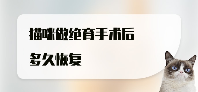 猫咪做绝育手术后多久恢复