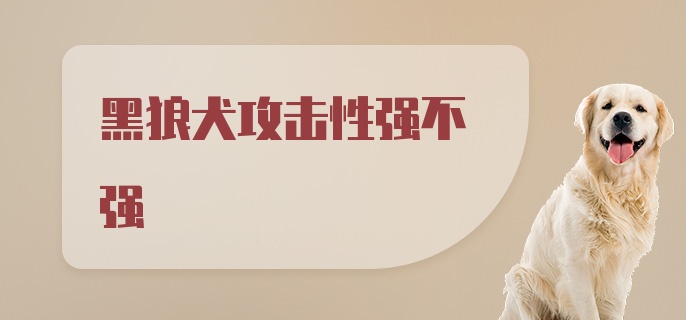 黑狼犬攻击性强不强