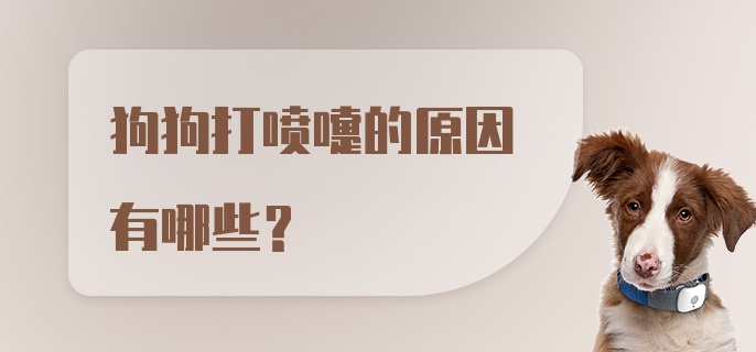 狗狗打喷嚏的原因有哪些？