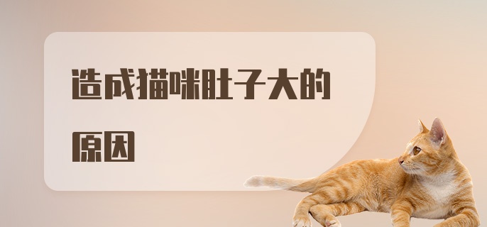 造成猫咪肚子大的原因