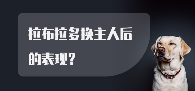 拉布拉多换主人后的表现？