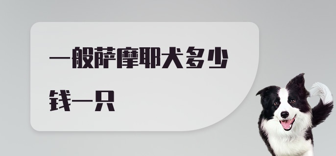 一般萨摩耶犬多少钱一只