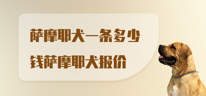 萨摩耶犬一条多少钱萨摩耶犬报价