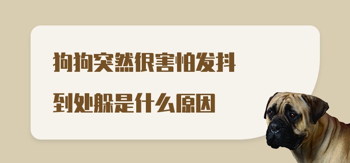 狗狗突然很害怕发抖到处躲是什么原因