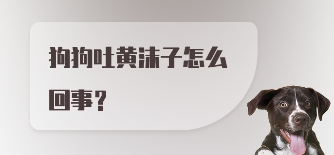 狗狗吐黄沫子怎么回事?