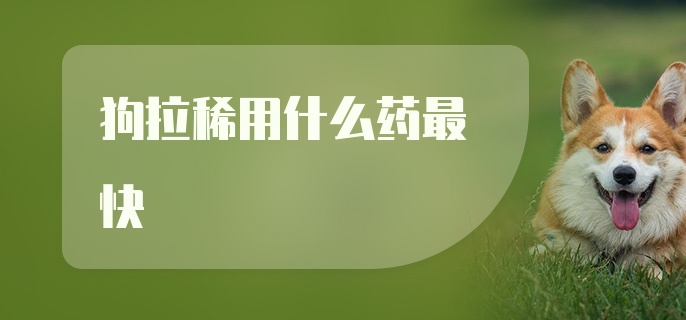 狗拉稀用什么药最快