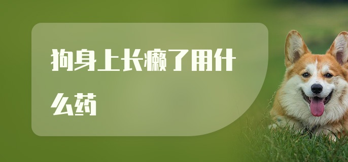 狗身上长癞了用什么药