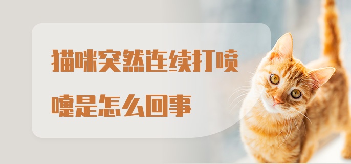 猫咪突然连续打喷嚏是怎么回事