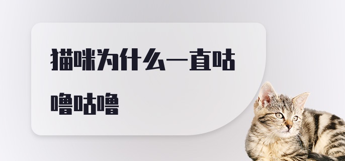 猫咪为什么一直咕噜咕噜