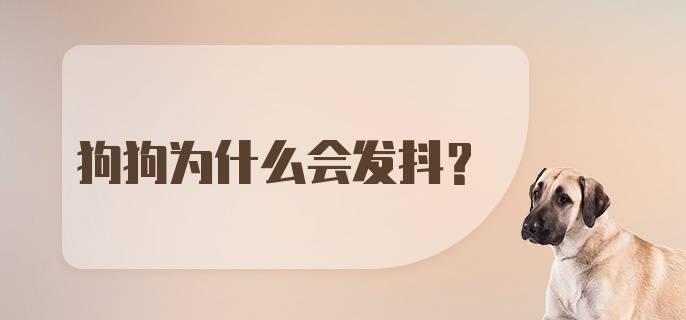 狗狗为什么会发抖?