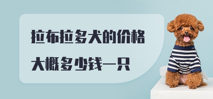 拉布拉多犬的价格大概多少钱一只