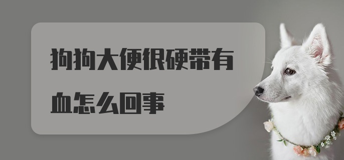 狗狗大便很硬带有血怎么回事