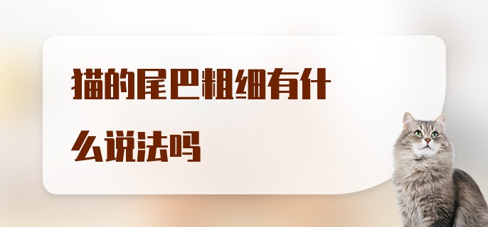 猫的尾巴粗细有什么说法吗