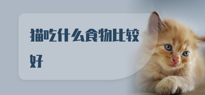 猫吃什么食物比较好