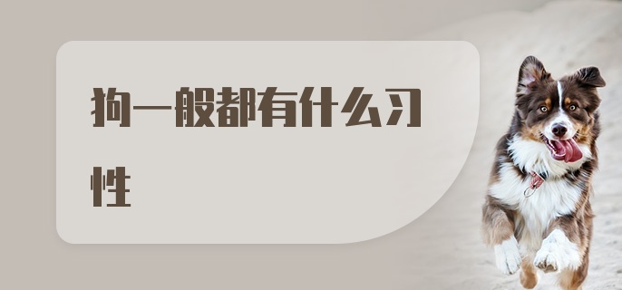 狗一般都有什么习性