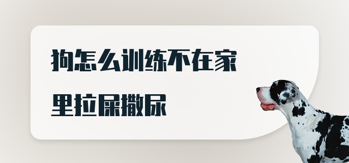 狗怎么训练不在家里拉屎撒尿