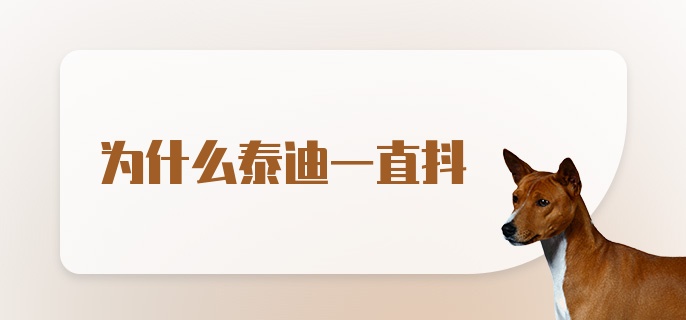 为什么泰迪一直抖