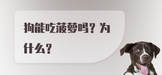 狗能吃菠萝吗？为什么？