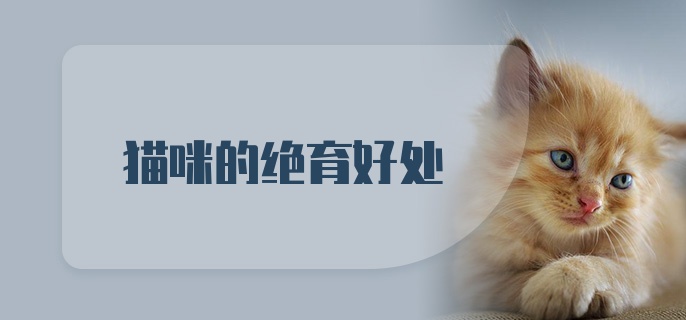 猫咪的绝育好处