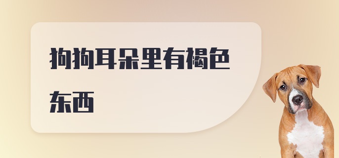 狗狗耳朵里有褐色东西