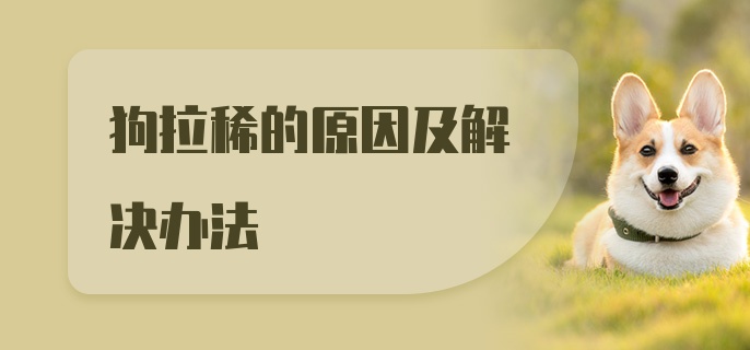 狗拉稀的原因及解决办法