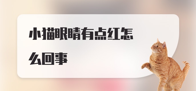 小猫眼睛有点红怎么回事