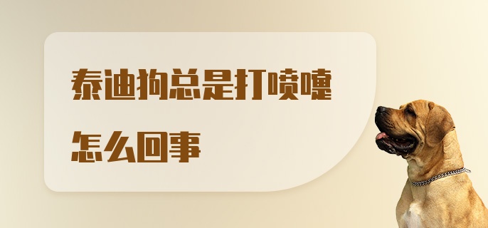 泰迪狗总是打喷嚏怎么回事