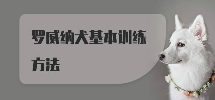 罗威纳犬基本训练方法