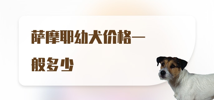 萨摩耶幼犬价格一般多少