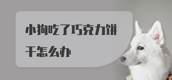 小狗吃了巧克力饼干怎么办