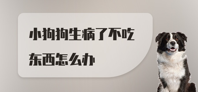 小狗狗生病了不吃东西怎么办