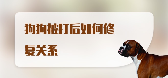 狗狗被打后如何修复关系