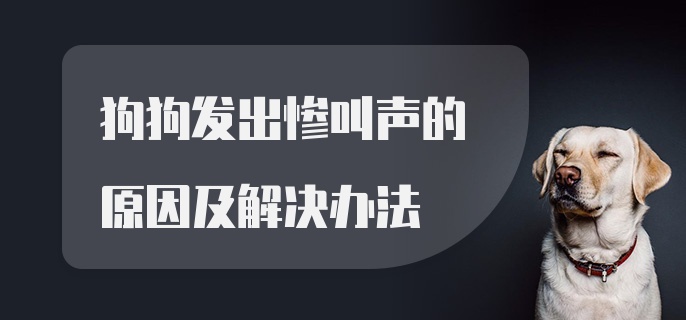 狗狗发出惨叫声的原因及解决办法