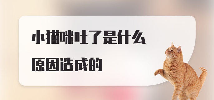 小猫咪吐了是什么原因造成的