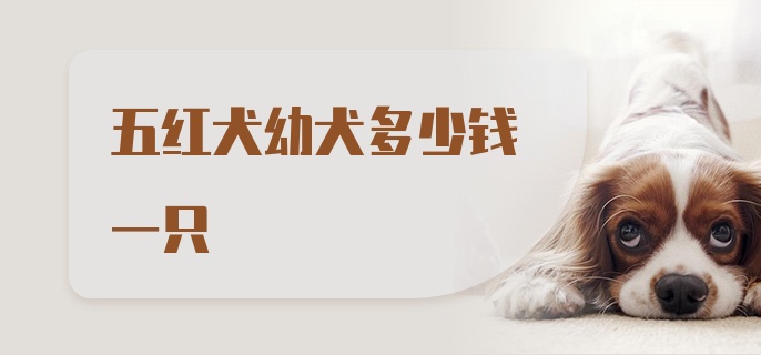 五红犬幼犬多少钱一只