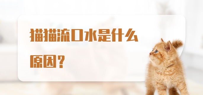 猫猫流口水是什么原因？