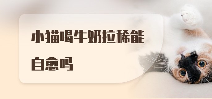 小猫喝牛奶拉稀能自愈吗